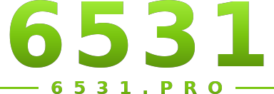 6531 logo